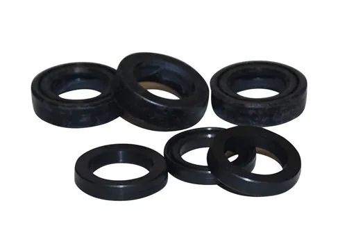 Cat 4PPX Water Seal Kit 76975