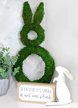 Easter Spring Moss Wreath Base