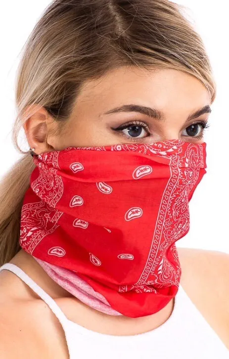 Paisley mask
