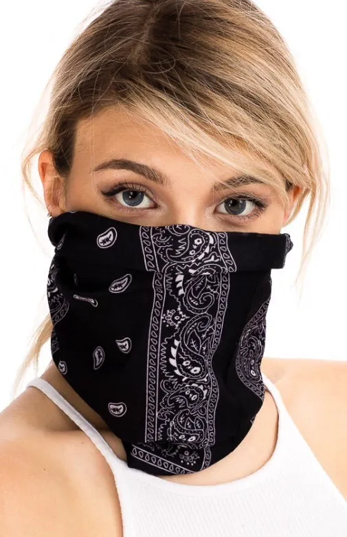 Paisley mask