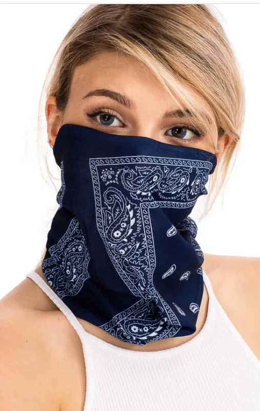 Paisley mask