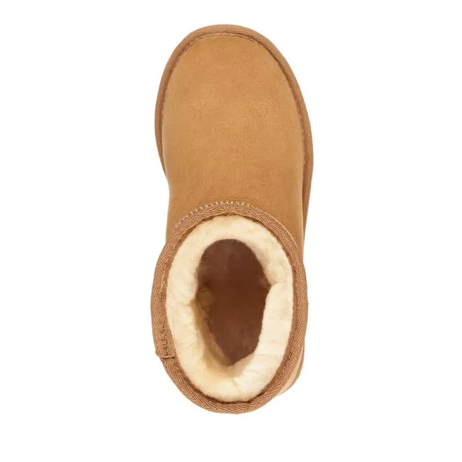 Platinum Stinger Mini Men - Chestnut||Platinum Stinger Mini pour hommes - Châtaigne