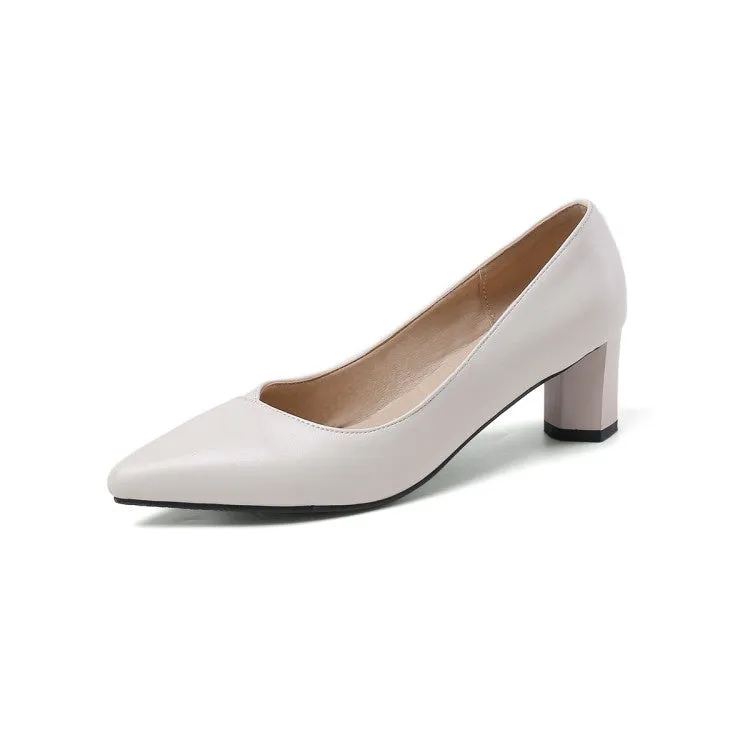 Women's Pointed Toe High Heel Chunky Pumps
