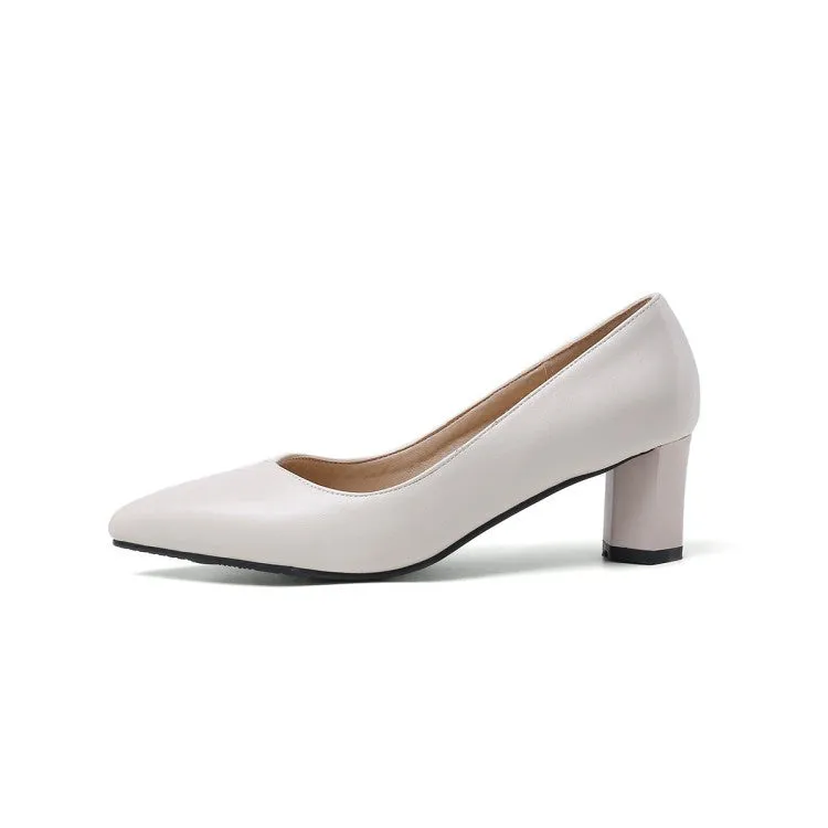 Women's Pointed Toe High Heel Chunky Pumps