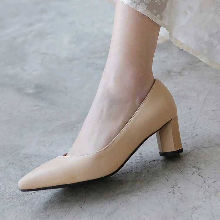 Women's Pointed Toe High Heel Chunky Pumps